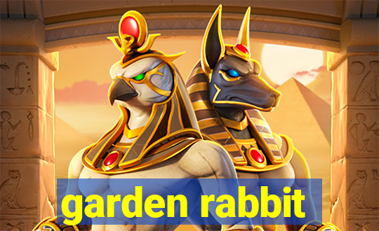 garden rabbit