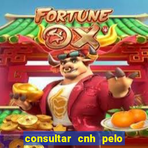 consultar cnh pelo cpf sp