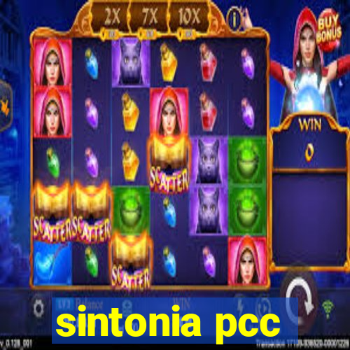 sintonia pcc