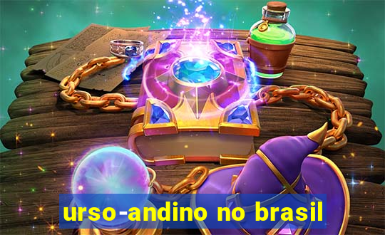 urso-andino no brasil