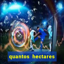 quantos hectares tem um campo de futebol