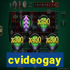 cvideogay