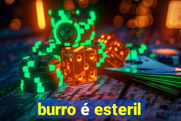 burro é esteril