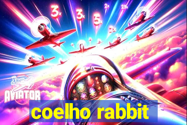 coelho rabbit