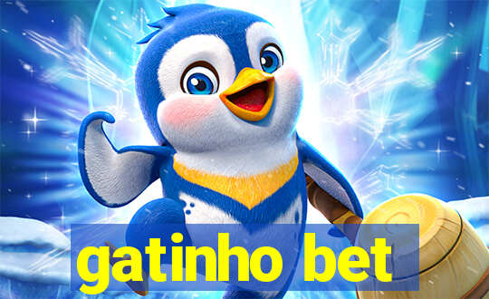 gatinho bet