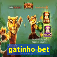 gatinho bet