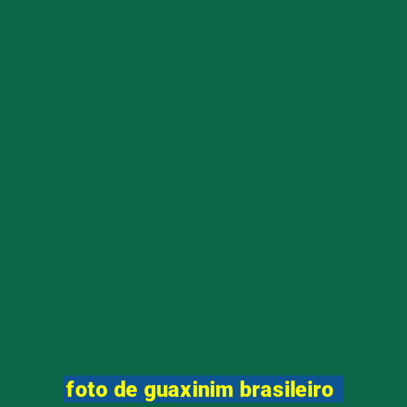 foto de guaxinim brasileiro