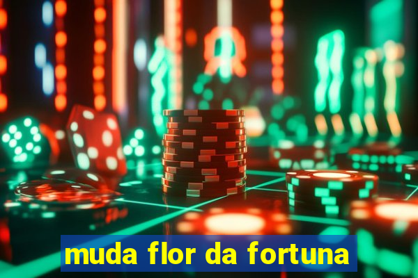 muda flor da fortuna