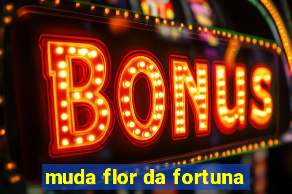 muda flor da fortuna