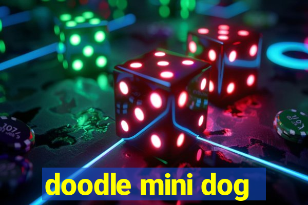 doodle mini dog