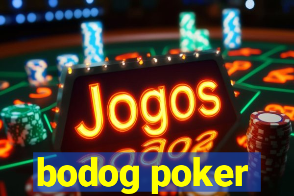 bodog poker