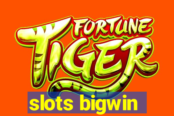 slots bigwin