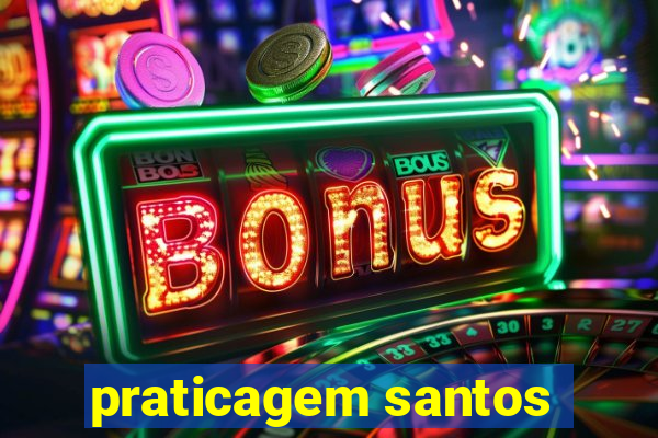 praticagem santos