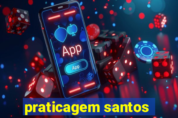 praticagem santos