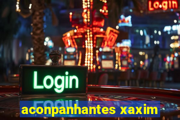 aconpanhantes xaxim