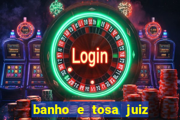 banho e tosa juiz de fora