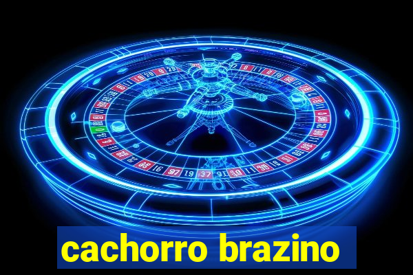 cachorro brazino