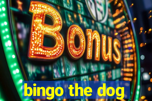 bingo the dog