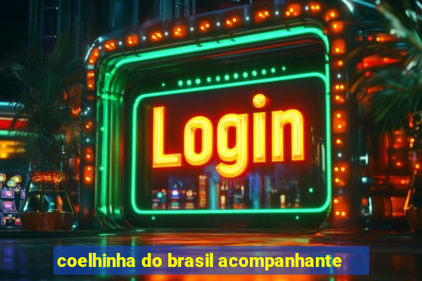 coelhinha do brasil acompanhante