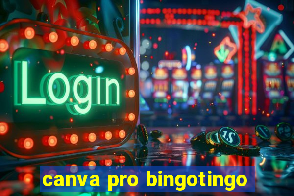 canva pro bingotingo