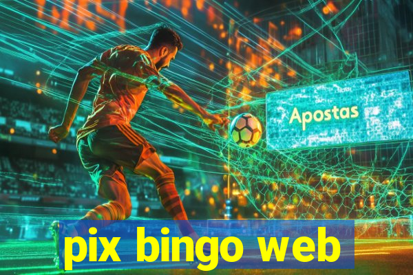 pix bingo web