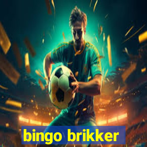 bingo brikker