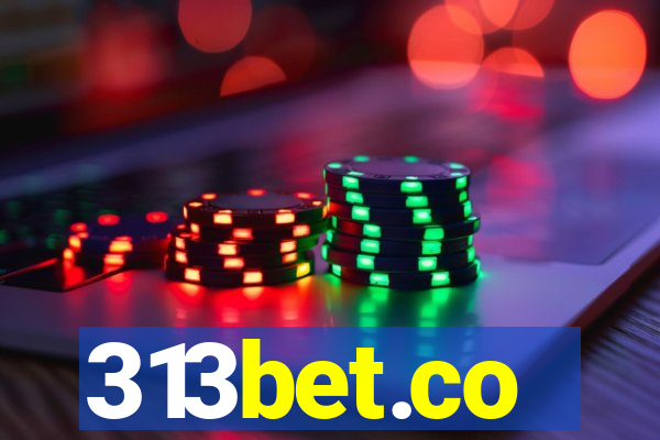 313bet.co