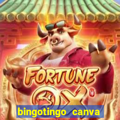 bingotingo canva pro gratis