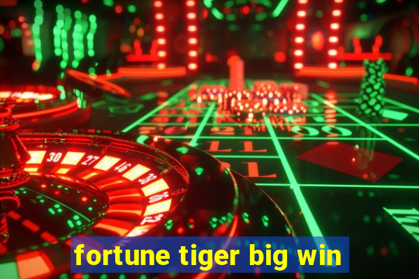 fortune tiger big win