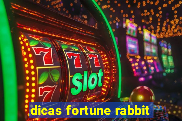 dicas fortune rabbit