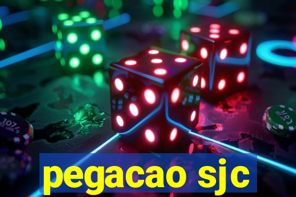 pegacao sjc