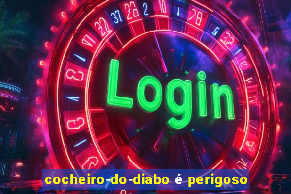 cocheiro-do-diabo é perigoso