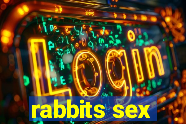 rabbits sex