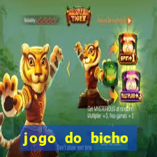 jogo do bicho online aplicativo