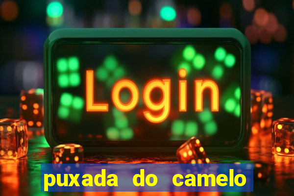 puxada do camelo no jogo do bicho