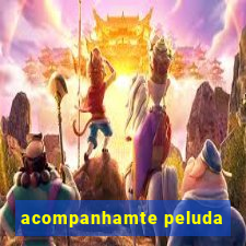 acompanhamte peluda