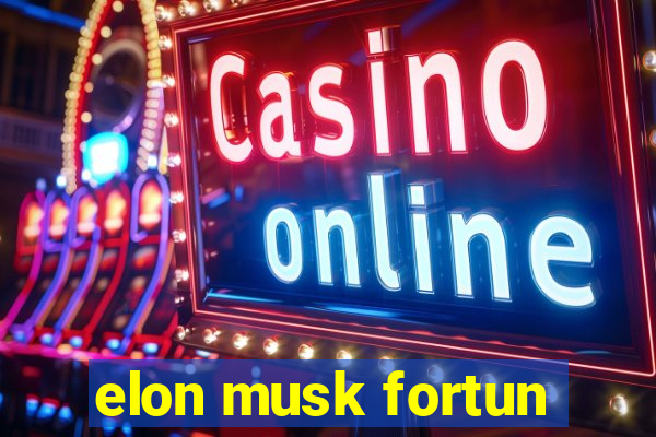 elon musk fortun