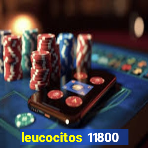 leucocitos 11800