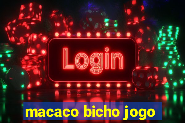 macaco bicho jogo