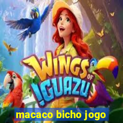 macaco bicho jogo