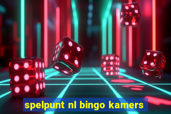 spelpunt nl bingo kamers