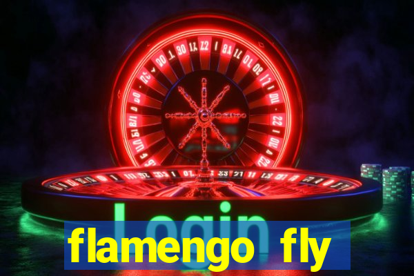 flamengo fly emirates ultimas noticias