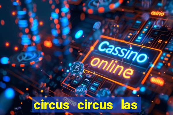 circus circus las vegas hotel and casino