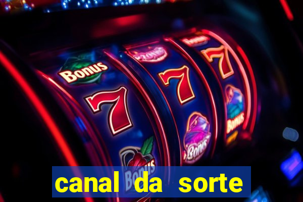 canal da sorte bingo de hoje