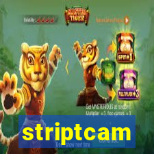 striptcam