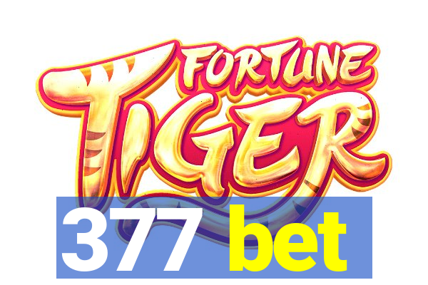 377 bet