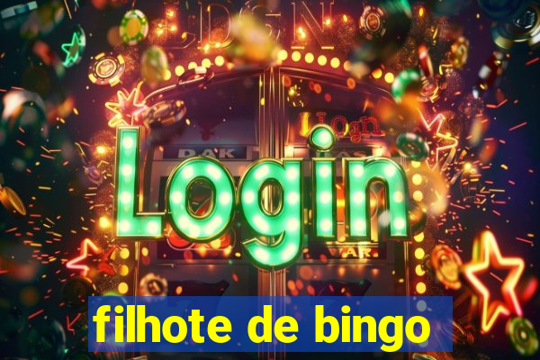 filhote de bingo