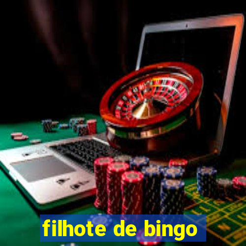 filhote de bingo