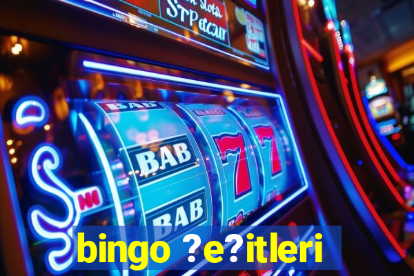 bingo ?e?itleri