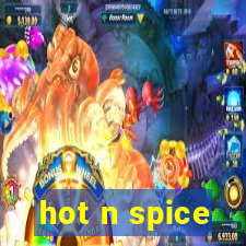 hot n spice